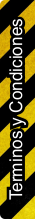 terminos y condiciones